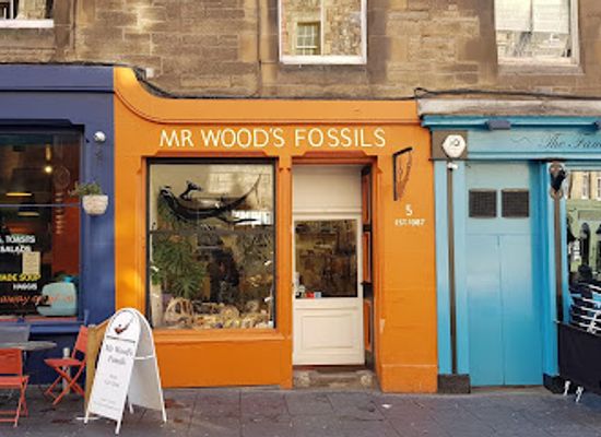 united-kingdom/down/shop/mr-wood-s-fossils