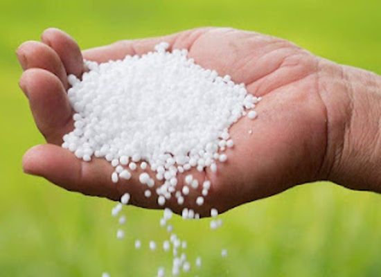 cambodia/battambang-province/shop/fertilizer