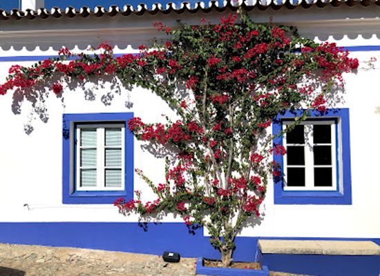 portugal/alentejo/shop/monte-da-ravasqueira