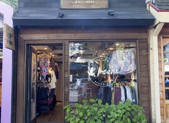 chile/pucon/shop/froens