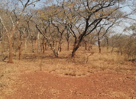 zimbabwe/lowveld/shop/lake-mutirikwi-recreational-park
