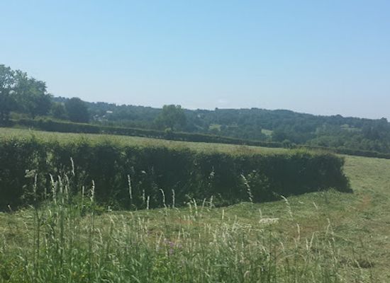 belgium/hautes-fagnes/shop/cig-group-sprl