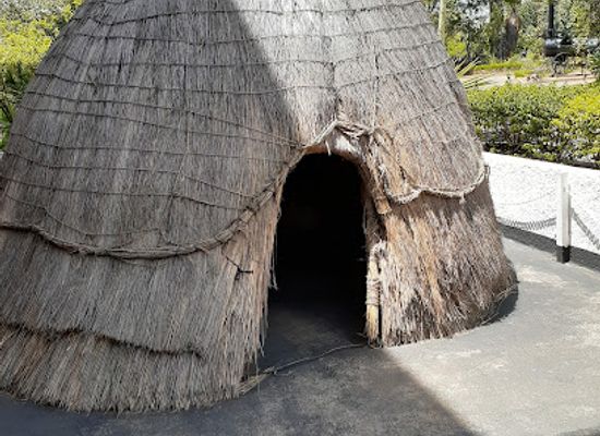 zimbabwe/bulawayo/shop/natural-history-museum-of-zimbabwe