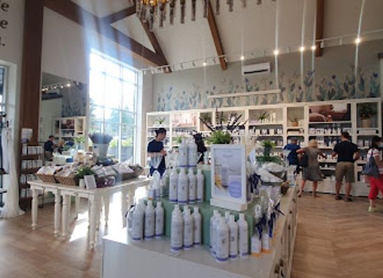 canada/eastern-townships/shop/bleu-lavande-blue-lavender