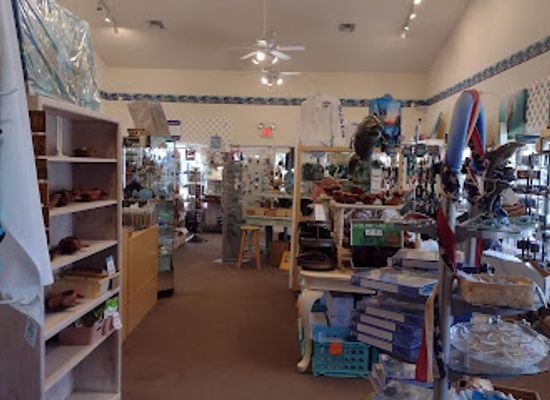 florida/crystal-river/shop/all-about-nature