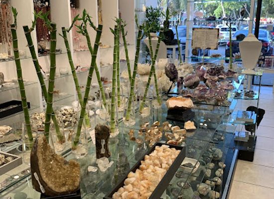 florida/everglades-national-park/shop/the-harmony-store