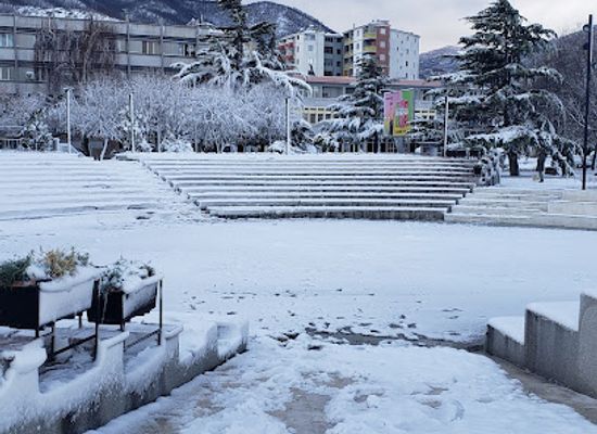 albania/korce-region/shop/buzi-store