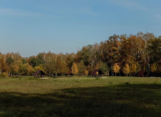 poland/kampinos-national-park/shop/polana-opalen