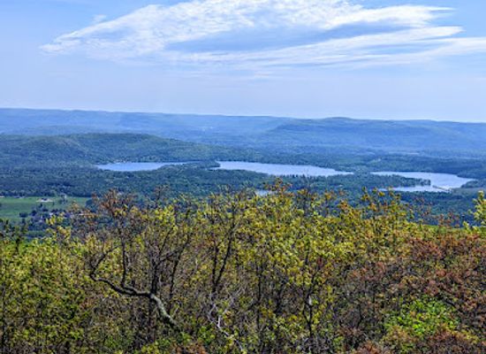 connecticut/bear-mountain/shop/bear-mountain