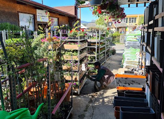 poland/gorce-mountains/shop/te-em