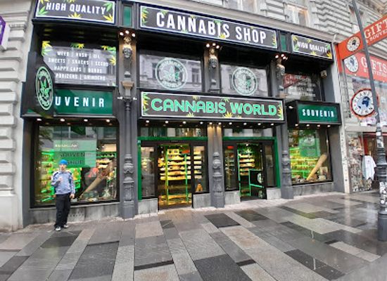 austria/vienna/shop/souvenirs-vienna