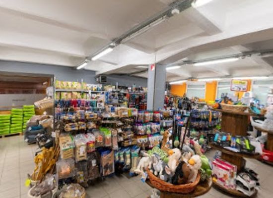 belgium/gaume/shop/pazapat