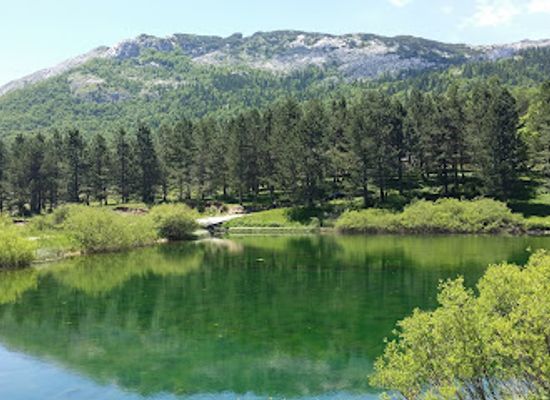 montenegro/savnik/shop/ribnjak