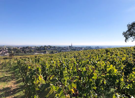 france/burgundy-vineyards/shop/le-caveau-a-auxey