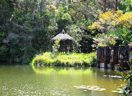 madagascar/andasibe-mantadia-national-park/shop/parc-national-andasibe-mantadia