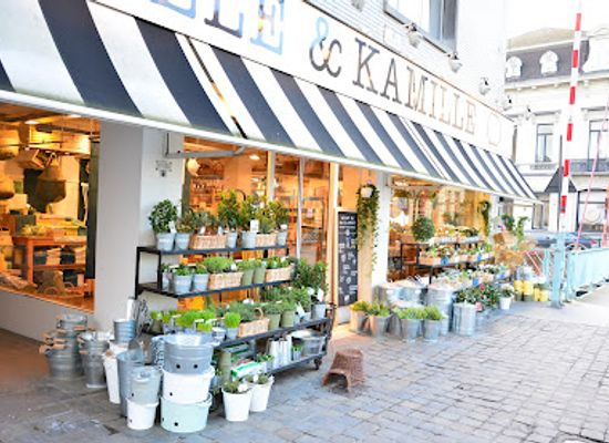 belgium/east-flanders/shop/dille-kamille