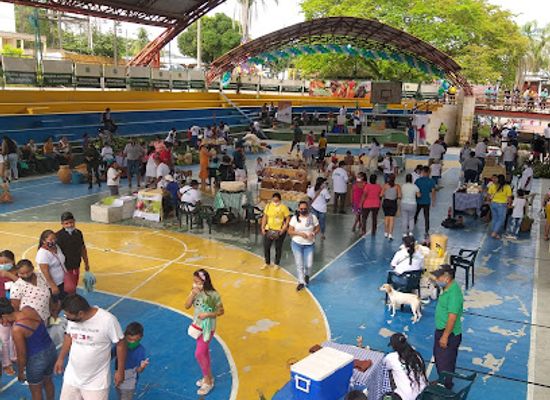 colombia/guainia-department/shop/flor-de-inirida-park