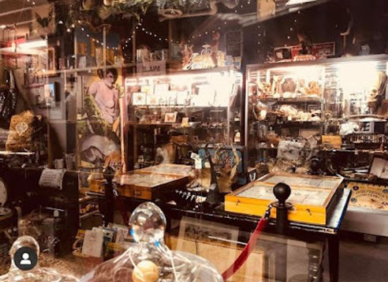 virginia/virginia-beach/shop/cobwebs-and-curios