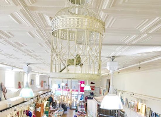 virginia/charlottesville/shop/finch-boutique