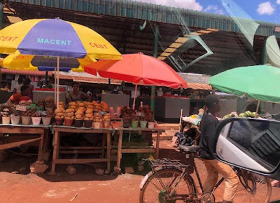 zambia/north-western-province/shop/mitech-green-market