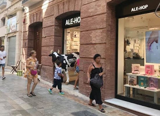spain/malaga/malaga-centro/shop/ale-hop