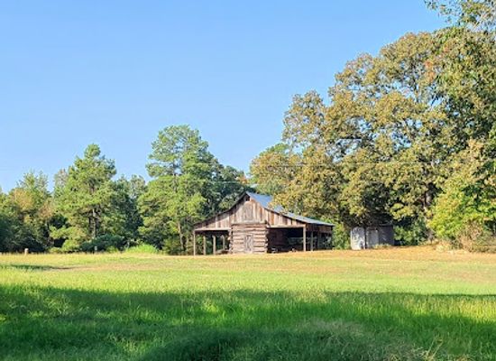 arkansas/pinnacle-mountain-state-park/shop/connie-at-natural-steps