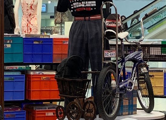 australia/brisbane/shop/retro-world-collective