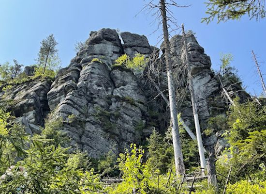 poland/stolowe-mountains/shop/biale-skaly-800-m-n-p-m