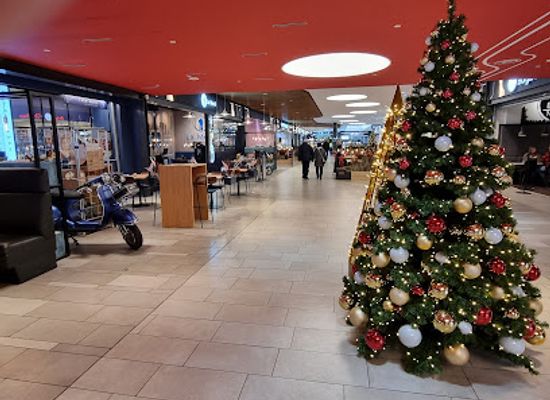 denmark/funen/attraction/rosengardcentret