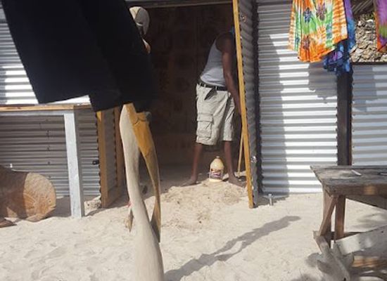 jamaica/great-morass/shop/irie-art