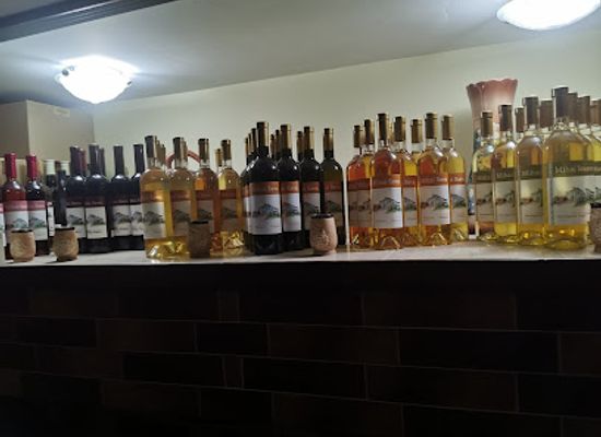 moldova/chisinau-county/shop/crama-mihai-sava