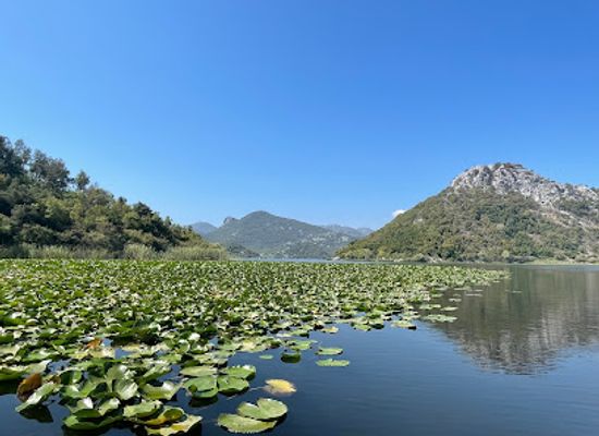 montenegro/skadar-lake-region/shop/boat-milica