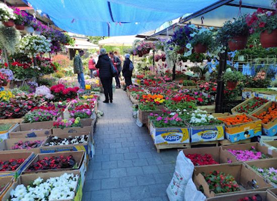 serbia/podrinje/shop/zemun-market