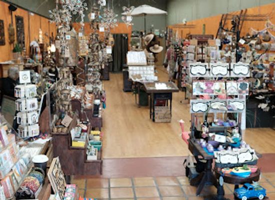 california/berkeley/shop/fern-s-garden