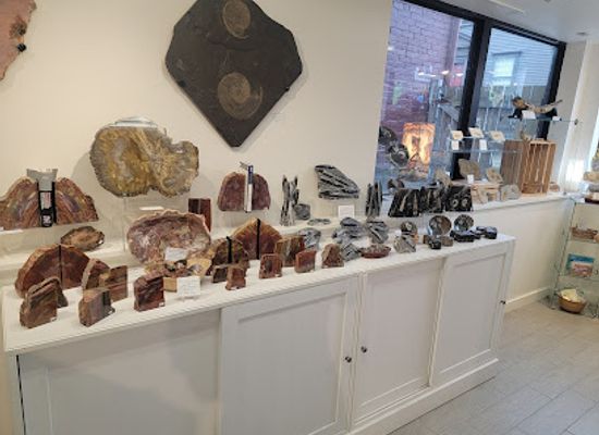 rhode-island/newport-county/shop/natural-elements-a-nature-and-science-store