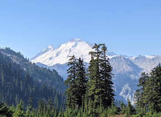 washington/mount-baker-snoqualmie-national-forest/shop/mt-baker-snoqualmie-national-forest
