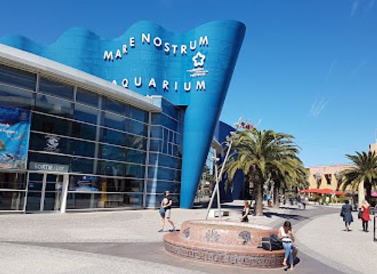 france/montpellier/historic-center/shop/shopping-centre-odysseum