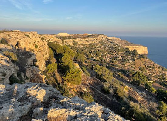 malta/dingli-cliffs/shop/from-my-garden-dingli-cliffs