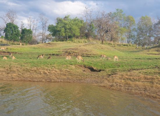 india/satpura-range/shop/satpura-tiger-reserve-madhai-entry-gate