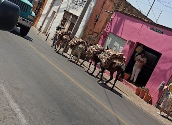 mexico/guanajuato/valenciana/shop/joyeria-la-bocamina