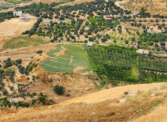 jordan/ajloun-forest-reserve/shop/ajloun