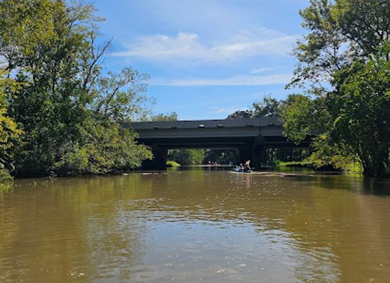 louisiana/atchafalaya-basin/shop/bayou-teche-experience