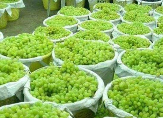 bhutan/wangdue-phodrang/shop/shangrila-bakery