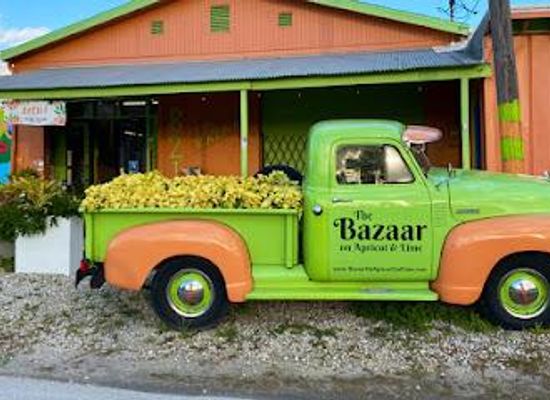 florida/sun-coast/shop/the-bazaar-on-apricot-lime