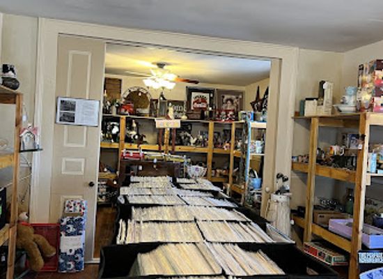 wisconsin/southwest-wisconsin/shop/true-vine-antiques-finds