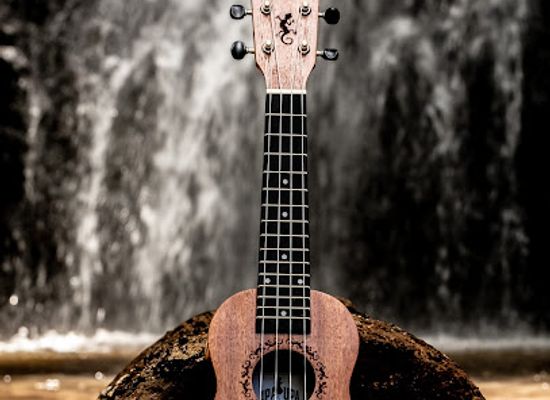 french-polynesia/bora-bora/shop/upa-upa-ukulele-shop-bora-bora