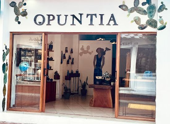 ecuador/galapagos-islands/shop/opuntia-ceramics