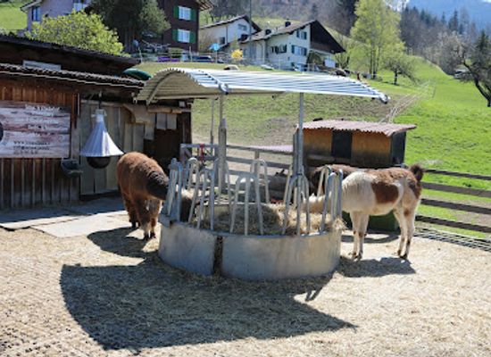 liechtenstein/vaduz-region/shop/lama-alpakahof-triesenberg