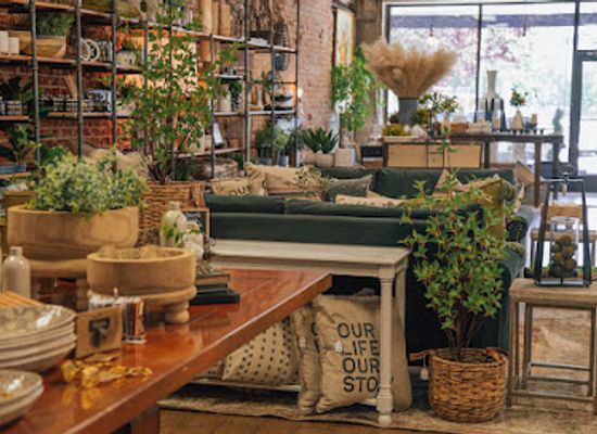 idaho/nampa/shop/vintiques