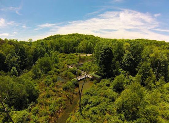 west-virginia/new-river-gorge-national-park-and-preserve/shop/new-river-birding-nature-center
